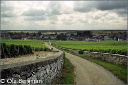 Vosne-Romanée