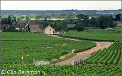 Puligny-Montrachet