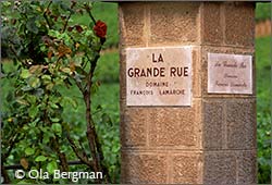 La Grande Rue in Vosne-Romanée, Burgundy.
