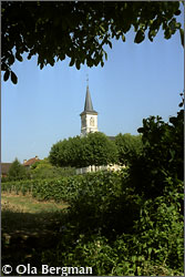 Clos du Chapître, Aloxe-Corton.