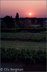 Chorey-lès-Beaune, Burgundy.