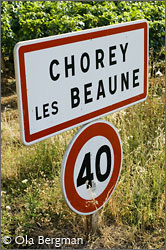 Chorey-lès-Beaune, Burgundy.