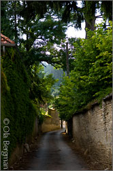 Volnay