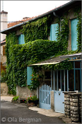 Marsannay-la-Côte, Burgundy.