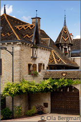 Marsannay-la-Côte, Burgundy.