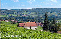 Santenay, Burgundy.