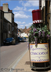 Domaine Chicotot, Nuits-Saint-Georges, Burgundy.