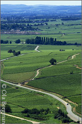 View over the vineyards of Pernand-Vergelesses, Savigny-lès-Beaune and Beaune.