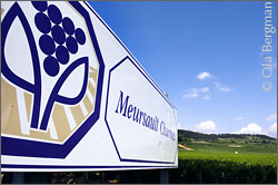 Meursault Charmes