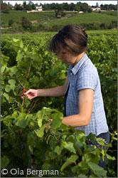 Chantal Martin at Domaine Michel Martin in Chorey-lès-Beaune.