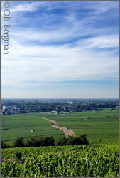 Beaune.