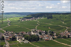 View over Pommard