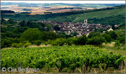 View over Irancy, Burgundy.