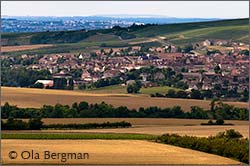 Saint-Bris le Vineux, Burgundy.
