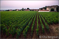 Gevrey-Chambertin