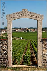 Clos de la Pucelle, Puligny-Montrachet.