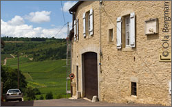 Monthelie, Burgundy.