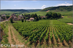Monthelie, view över Auxey-Duresses