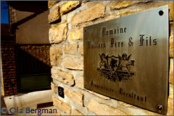 Domaine Maillard in Chorey-lès-Beaune, Burgundy.