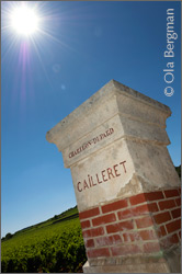 Puligny-Montrachet, Clos de Cailleret by Domaine Jean Chartron.