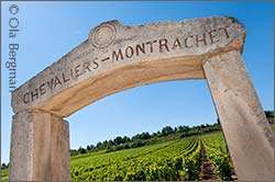 Chevliers-Montrachet, Puligny-Montrachet.