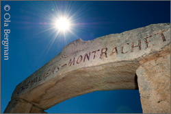 Chevalier-Montrachet, Clos des des Chevaliers by Domaine Jean Chartron.