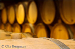 Domaine Dublère, Burgundy.