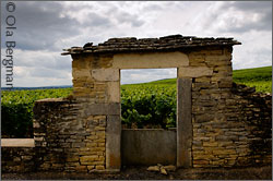 Volnay, Burgundy.
