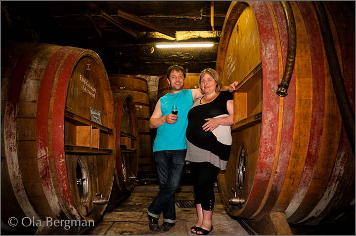 Domaine du Clos du Roi, Coulanges-la-Vineuse.