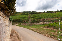 Beaurepaire, Santenay, Burgundy.
