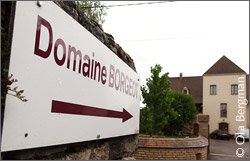 Domaine Borgeot, Remigny.
