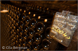Domaine Borgeot, Remigny.