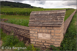 Bonnes Mares, Burgundy.