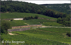 Chambolle-Musigny, Burgundy.