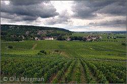 Chambolle-Musigny, Burgundy.