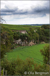 Les Amoureuses, Chambolle-Musigny, Burgundy.