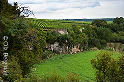 Les Amoureuses, Chambolle-Musigny.