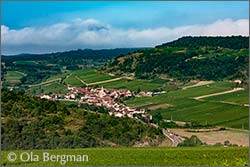 Saint-Aubin, Burgundy.
