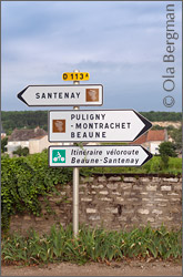 Chassagne-Montrachet, Burgundy.