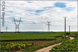 Nuits-Saint-Georges.