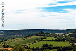 View from Vézelay.