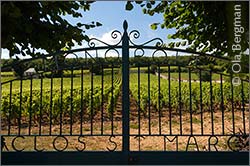 Nuits-Saint-Georges premier cru Clos Saint-Marc.