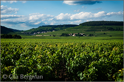 Chorey-lès-Beaune, Les Beaumonts.