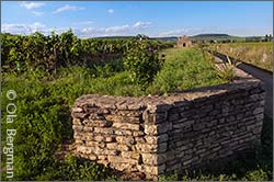Savigny-lès-Beaune, Hauts Marconnets.