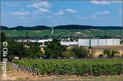 Chablis and the grand crus seen from Milly.