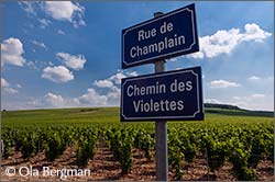 Milly, Chablis.