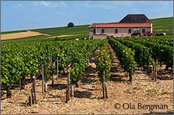 Domaine Dampt in Milly.