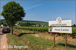 Aloxe-Corton, Les Cras.