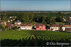 Clos des Argillières in Prémeaux-Prissey.