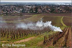 Givry, Burgundy.